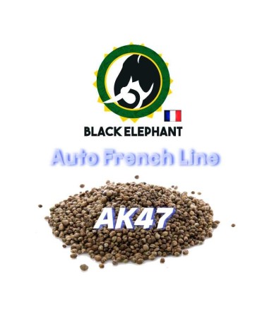AK 47 AUTO - BLACK ELEPHANT - AUTO FRENCH LINE