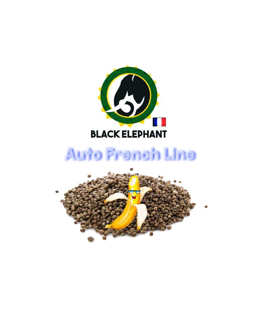 BANANA AUTO - BLACK ELEPHANT - AUTO FRENCH LINE