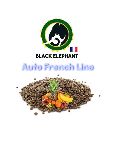 FRUIT AUTO - BLACK ELEPHANT - AUTO FRENCH LINE