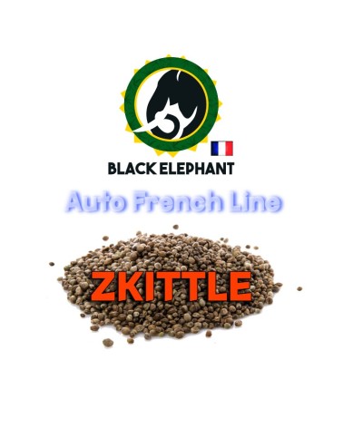 ZKITTLE AUTO - BLACK ELEPHANT - AUTO FRENCH LINE