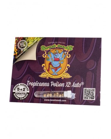 Tropicanna Pois. XL Auto Sweet S. (5+2)