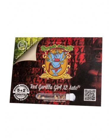 Red Gorilla Girl XL Auto Sweet S. (5+2)