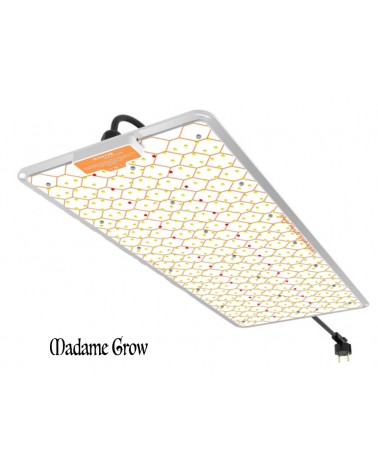 Ignator Heroled F240W Quantum Board Grow Led