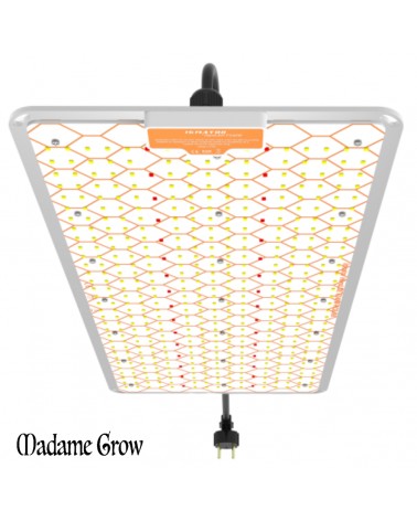 Ignator Heroled F240W Quantum Board Grow Led