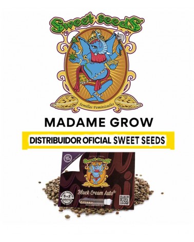 Black Cream Auto Sweet S. (5+2)