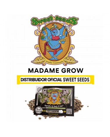 Skywalker OG Runtz XL Auto - Sweet S. (5+2)