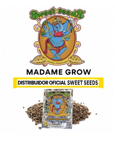 Sweet Mix Photopériodique - Sweet S. (10 ud.)