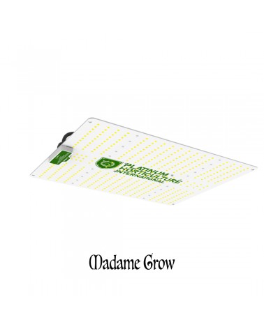 Platinum LED Quantum Board