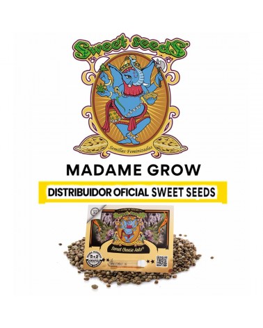 Sweet Cheese Auto - Sweet S. (5+2)