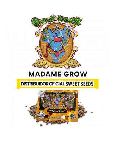 Sweet Cheese XL Auto - Sweet S. (5+2)