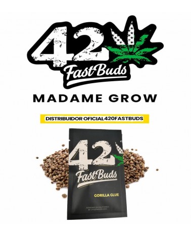 Gorilla Glue Auto - 2Fast4Buds