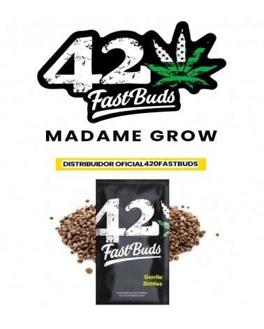 Gorilla Zkittlez Auto - 2Fast4Buds