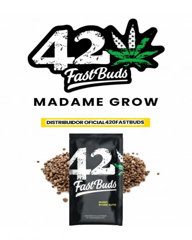 Rhino Ryder - 2Fast4Buds