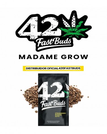 Strawberry Banana Auto - 2Fast4Buds