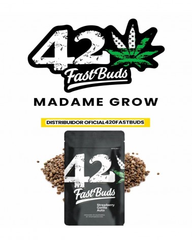 Strawberry Gorilla - 2Fast4Buds