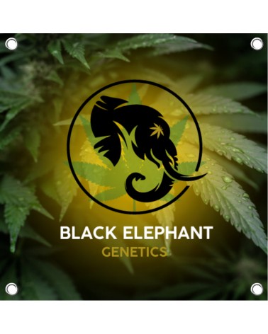 Bâche Décorative - Black Elephant Genetics (50x50cm)