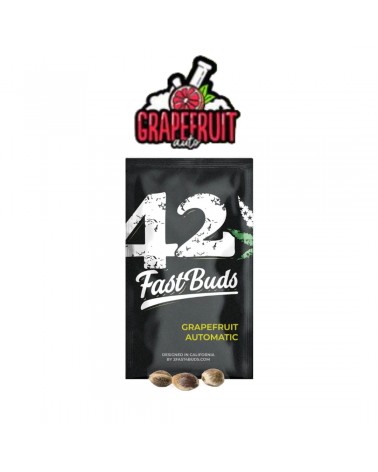 Grapefruit Auto - 2Fast4Buds
