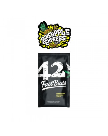 Pineapple Express Auto - 2Fast4Buds