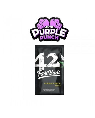 Purple Punch Auto - 2Fast4Buds
