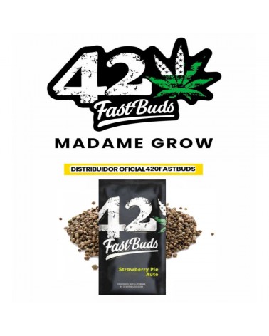 Strawberry Pie Auto - 2Fast4Buds