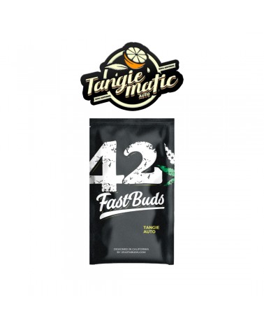 Tangie Auto - 2Fast4Buds