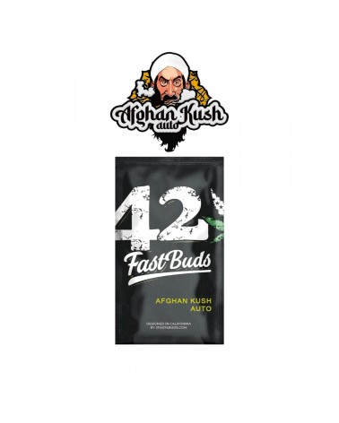 Afghan Kush Auto - 2Fast4Buds