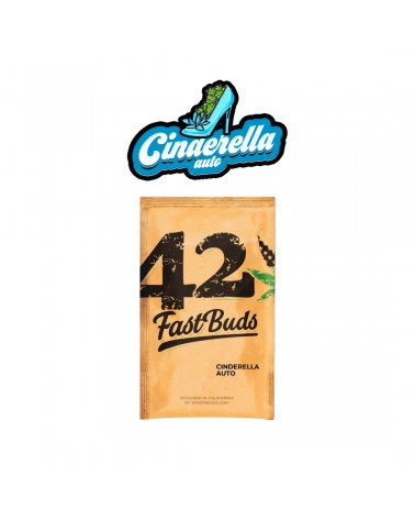 Cinderella Auto - 2Fast4Buds