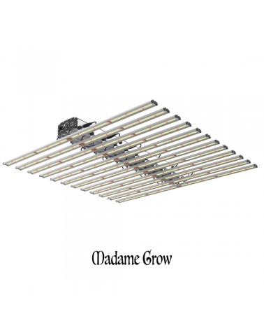 King LED Platinum (1360 W) Con Conexión Para Master Controller