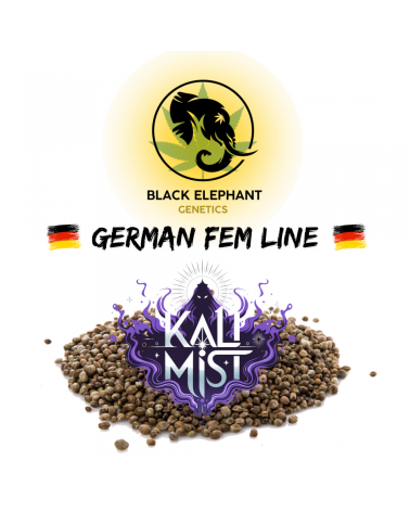 Kali Mist (German Fem Line) - Black Elephant Genetics