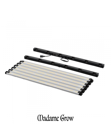 Platinum Super King 720w LED con Conexión para Master Controller