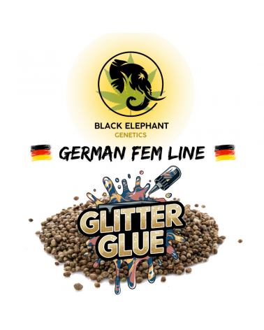 Glitter Glue (German Fem Line) - Black Elephant Genetics