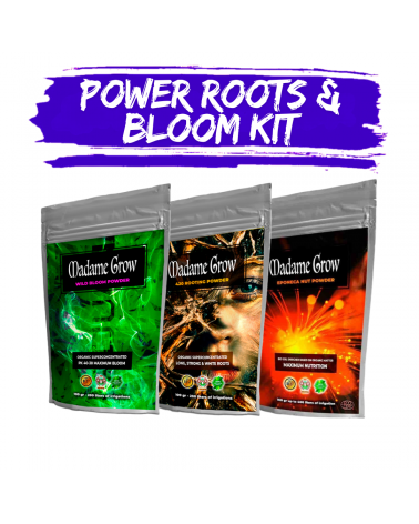 Kit Power Roots & Bloom - Fertilizantes Orgánicos Madame Grow