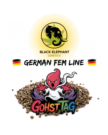 Gohst Tag (German Fem Line) - Black Elephant Genetics
