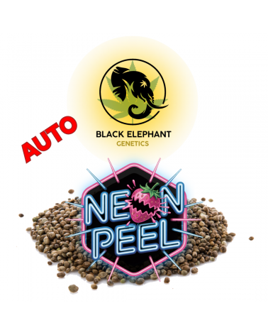 Neon Peel (Auto) - Black Elephant Genetics