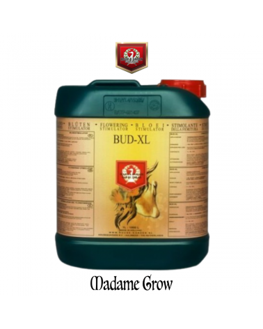 Bud XL H&G – Stimulateur pour des fleurs plus grandes et savoureuses