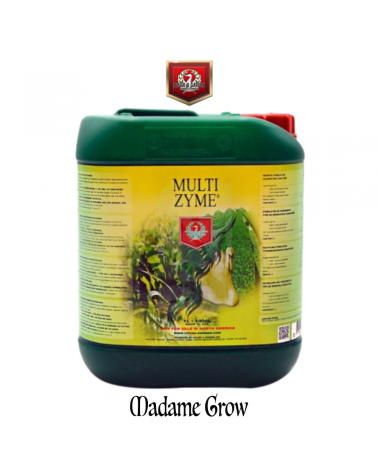 Multi Zen H&G – Enzymatic stimulator for strong growth and healthy roots