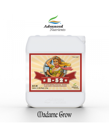 B-52 Root & Growth Booster – Advanced Nutrients