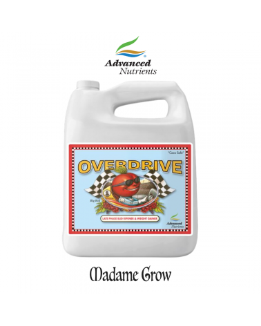 Overdrive (Spinta finale di fioritura) – Advanced Nutrients