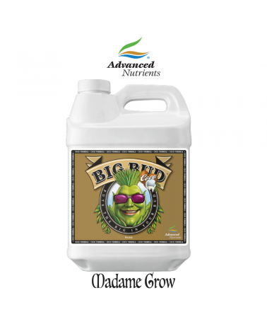 Big Bud Coco – Abundant Flowering for Coco Substrates - Advanced Nutrients
