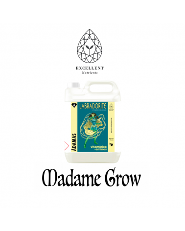 LABRADORITE – Excellent Nutrients | Vitamin- und Aminosäurenkomplex