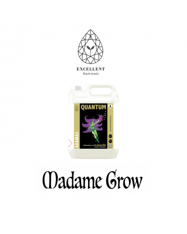 QUANTUM – Excellent Nutrients | Organic Bloom Stimulator