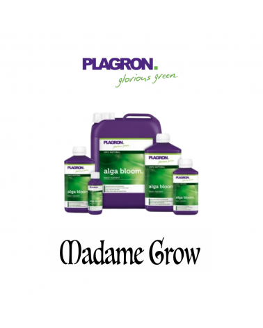 ALGA BLOOM 10L– Plagron | Fertilizzante Organico di Fioritura a Base di Alghe