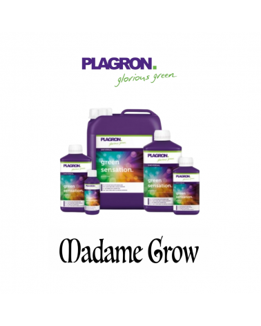 GREEN SENSATION – Plagron | Stimolatore Fase Finale Fioritura
