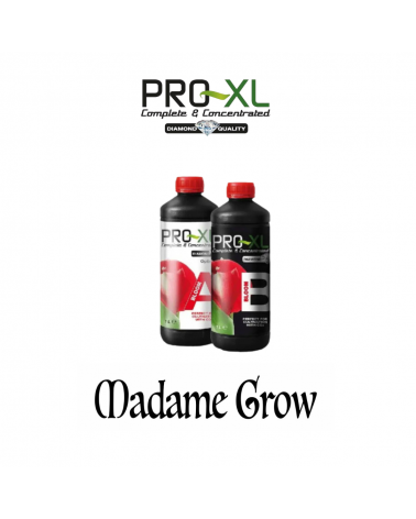 Bloom A&B –20L- PRO-XL | Nutriment Complet pour la Floraison