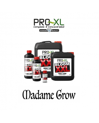 Bloom XXL –PRO-XL- Premium Flowering Fertilizer for Abundant and High-Quality Blooms