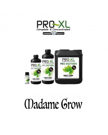 Pro-Enzyme 5L– PRO-XL | Mejorador Enzimático para Raíces y Sustrato
