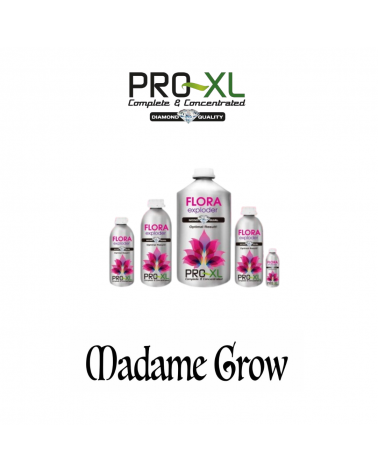 Flora Exploder 5L– PRO-XL | Stimulateur de Floraison avec Nano Argent & PK Élevé