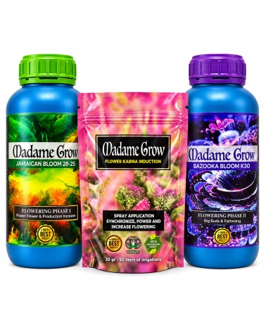 Blütedünger Set Bloom – Blühinduktion, Blüte und Fruchtbildung – 3 Produkte
