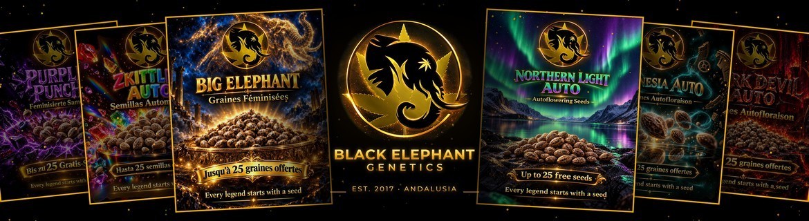 Black Elephant Genetics | Feminisierte & Autoflowering Genetik