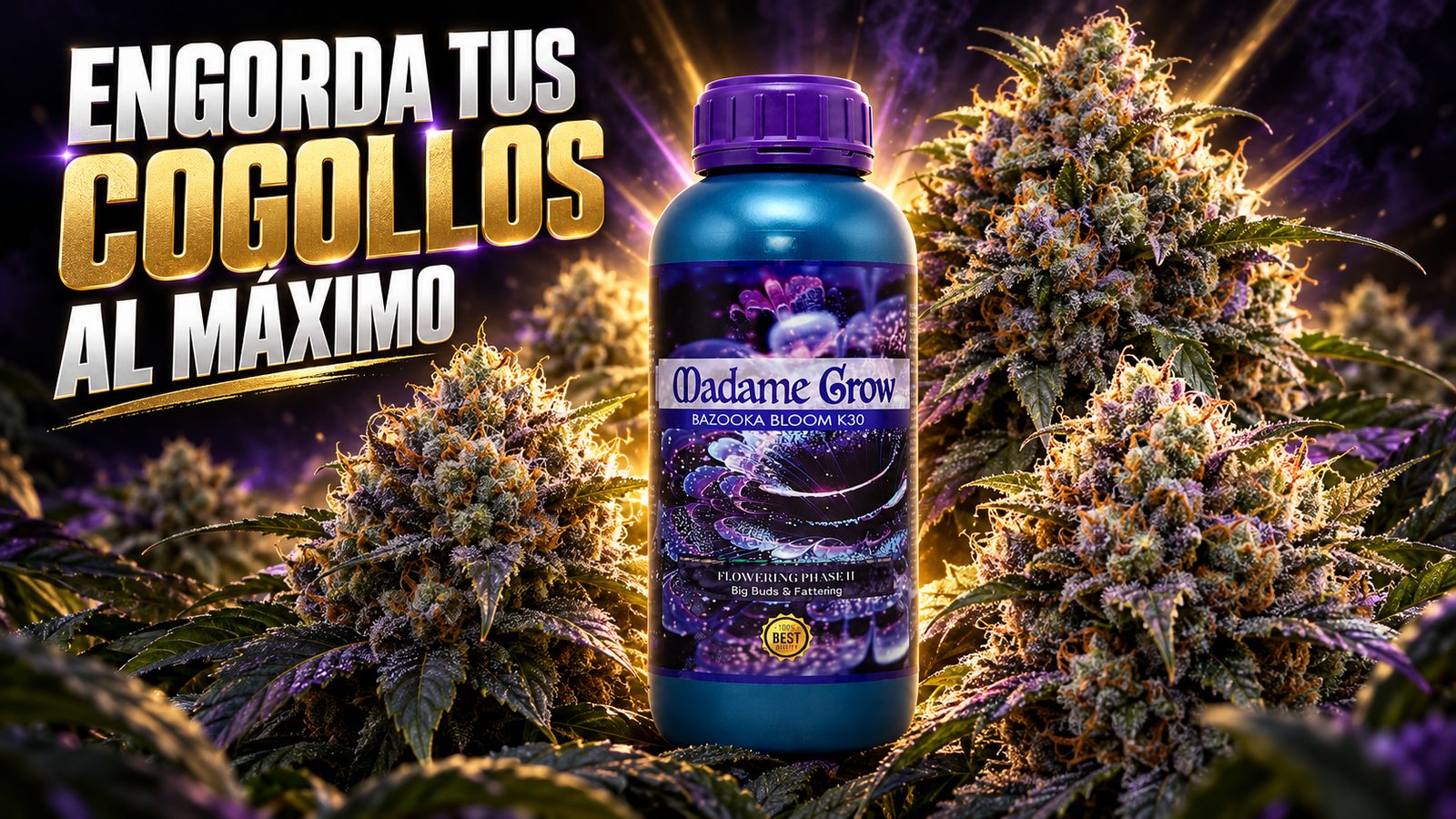 Bazooka Bloom K30 Madame Grow